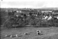 Gundeldingen 1943